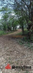 Terreno en renta 20x50, Avenida Arco Sur; Xalapa, Veracruz
